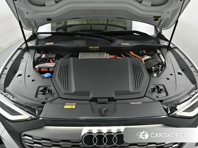 Audi Q8 e-Tron (GE) id 4230058 из Кореи 16