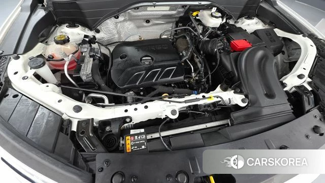 Chevrolet (GM Daewoo) Trailblazer id 5031118 из Кореи 27