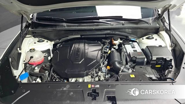 Hyundai The New Santa Fe id 5022261 из Кореи 30