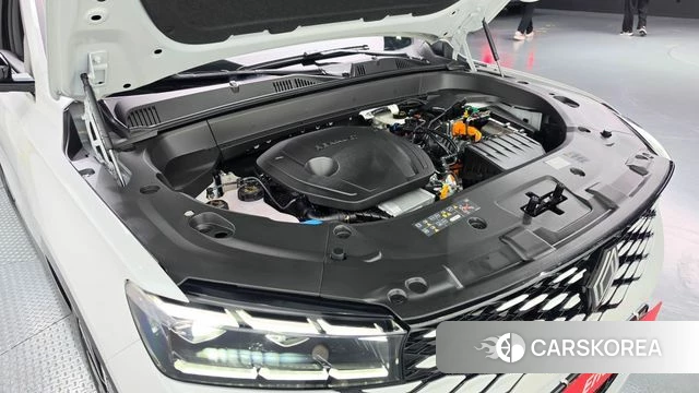 Renault Korea (Samsung) Grand Coleos id 4980179 из Кореи 16