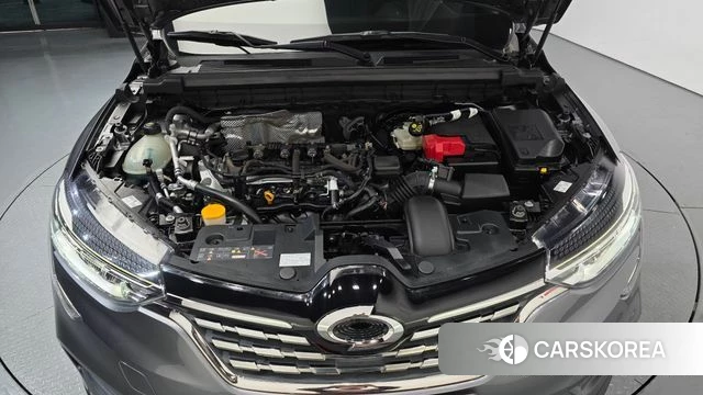 Renault Korea (Samsung) XM3 id 5053415 из Кореи 28