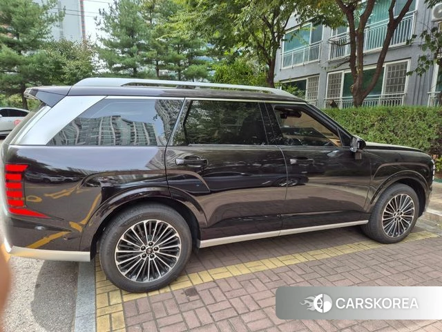 Hyundai Palisade (LX3) 2026 Цвет тростника из Кореи, фото 6