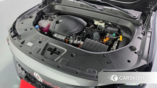 Renault Korea (Samsung) Filant id 4761984 из Кореи 33