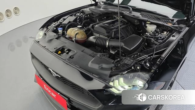 Ford Mustang id 4937078 из Кореи 26