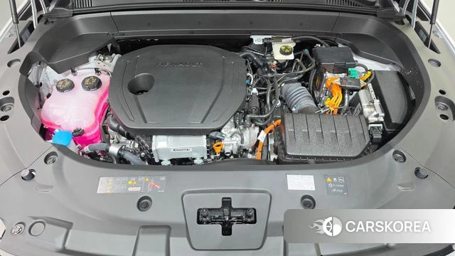 Renault Korea (Samsung) Grand Coleos id 4916093 из Кореи 28