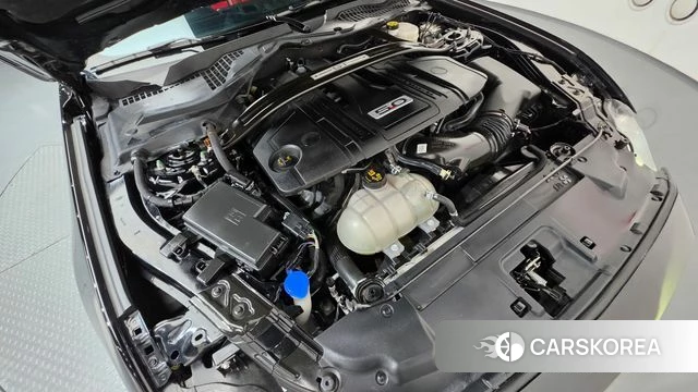 Ford Mustang id 4942278 из Кореи 27