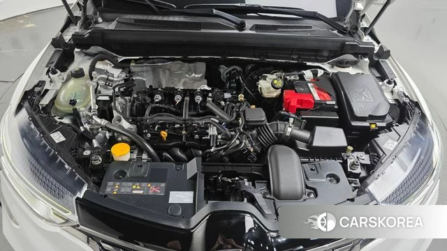 Renault Korea (Samsung) XM3 id 5034443 из Кореи 26