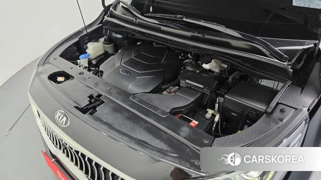 Kia The New Carnival id 4998504 из Кореи 16
