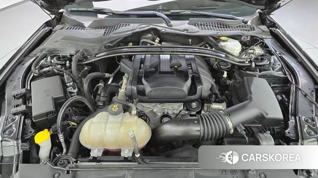 Ford Mustang id 4931074 из Кореи 29