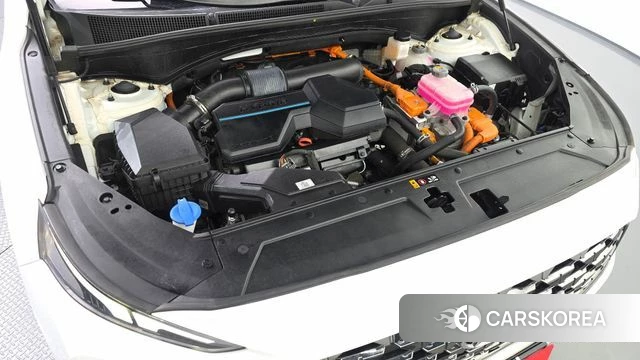 Hyundai The New Santa Fe id 4951884 из Кореи 28