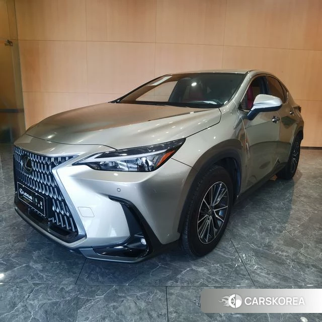 Lexus NX 2023 Серебристо-серый из Китая, фото 6