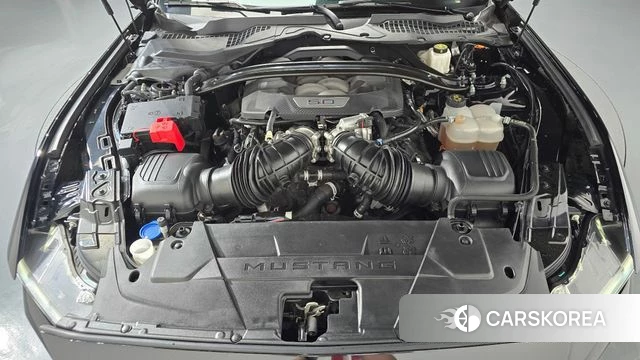 Ford Mustang 7th Generation id 4974908 из Кореи 29