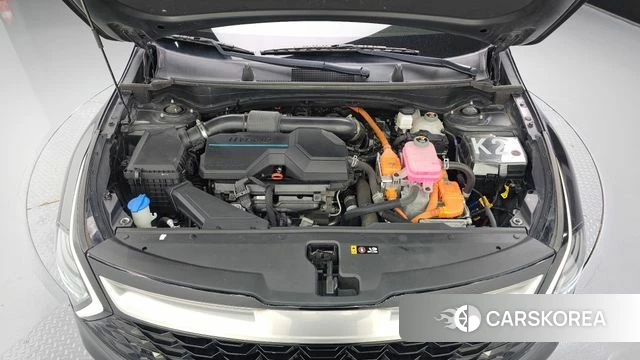 Kia Sportage 5th Generation Hybrid id 4951359 из Кореи 16