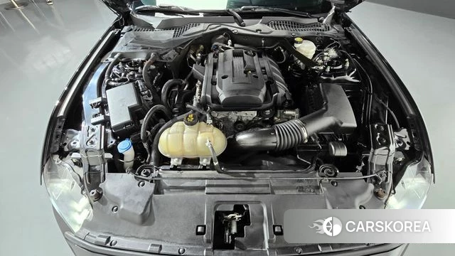 Ford Mustang id 4986932 из Кореи 30