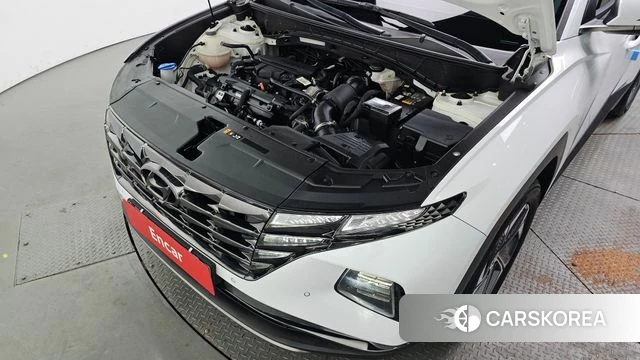 Hyundai Tucson (NX4) id 5041146 из Кореи 29