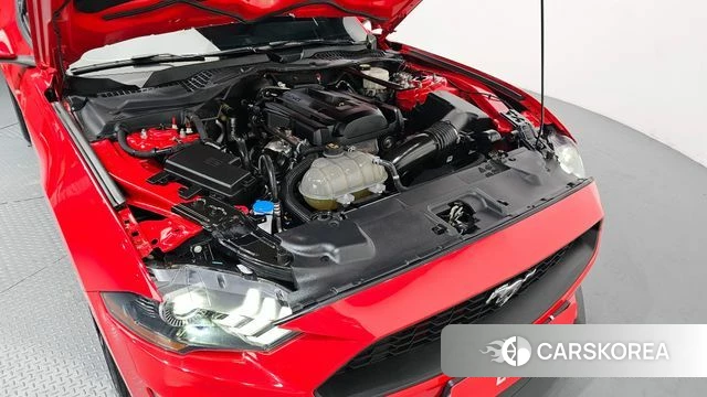 Ford Mustang id 3811543 из Кореи 16