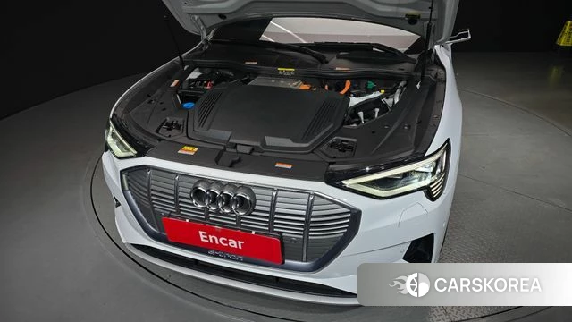 Audi e-Tron id 5017652 из Кореи 16
