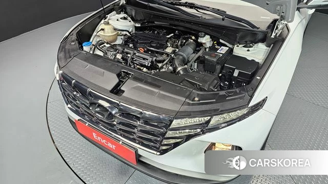 Hyundai Tucson (NX4) id 4696877 из Кореи 26