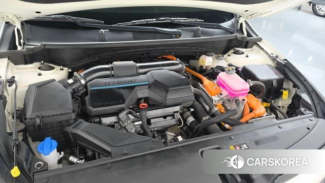 Kia Sportage 5th Generation Hybrid id 4985775 из Кореи 28
