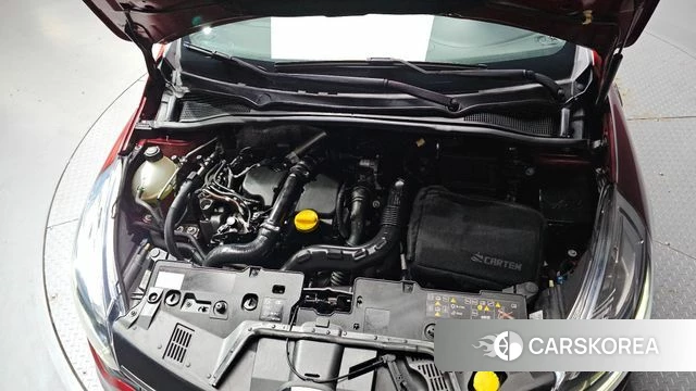 Renault Korea (Samsung) Clio id 5048502 из Кореи 26