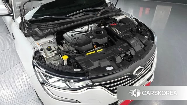 Renault Korea (Samsung) SM6 id 5004451 из Кореи 26