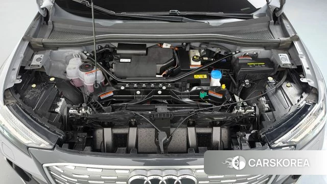 Audi Q4 e-Tron (F4) id 5021516 из Кореи 30
