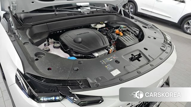 Renault Korea (Samsung) Filant id 4904098 из Кореи 30