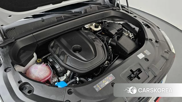 Renault Korea (Samsung) Grand Coleos id 4995431 из Кореи 39