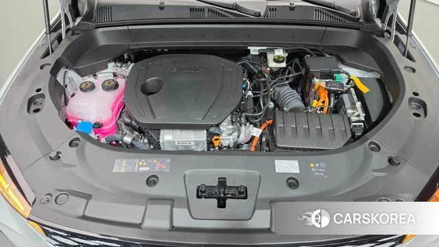 Renault Korea (Samsung) Grand Coleos id 4916094 из Кореи 29