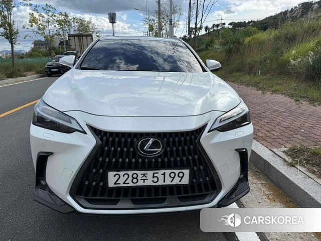 Lexus NX450h + 2nd generation 2024 Белый из Кореи, фото 6