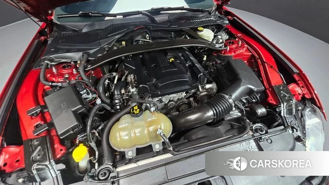 Ford Mustang id 4959870 из Кореи 16