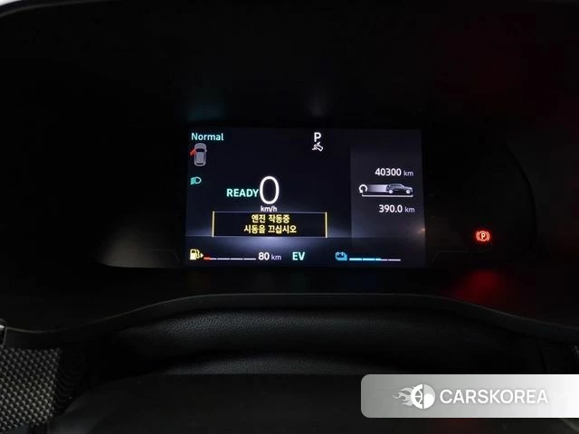 Renault Korea (Samsung) Arcana id 5045942 из Кореи 16