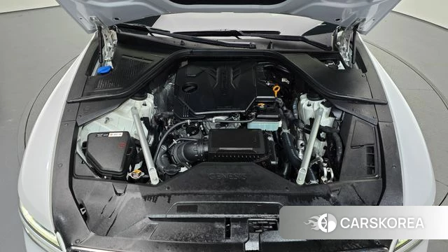 Genesis G80 (RG3) id 5023378 из Кореи 30