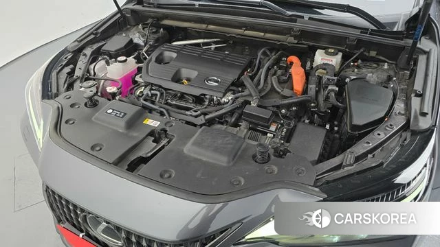 Lexus NX350h Second generation id 4964348 из Кореи 32