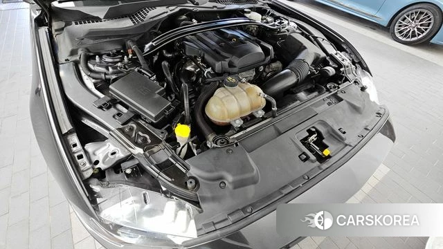 Ford Mustang id 4900372 из Кореи 30