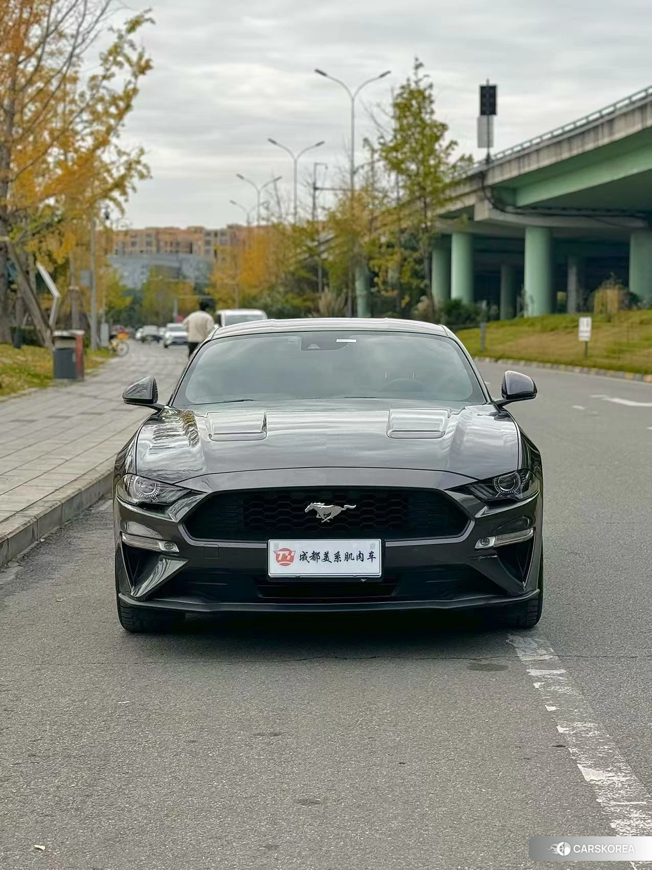 Ford Mustang 2020 Черный из Китая, фото 6