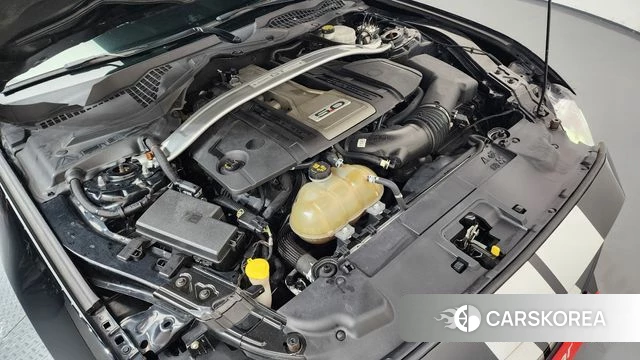 Ford Mustang id 4895026 из Кореи 16