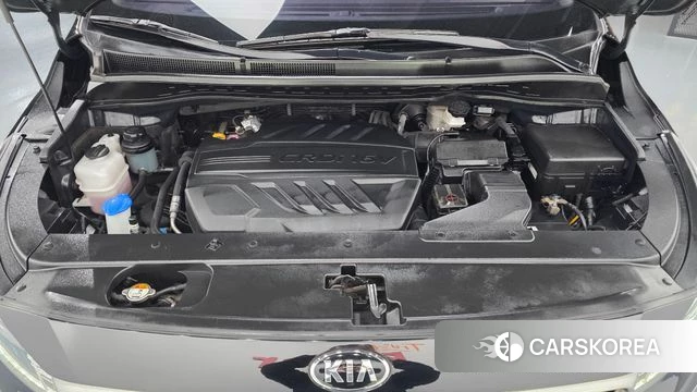 Kia The New Carnival id 4998182 из Кореи 30