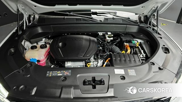Renault Korea (Samsung) Grand Coleos id 4928292 из Кореи 29