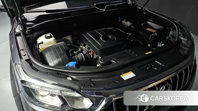 Ssangyong Rexton Sports Cannes id 4966815 из Кореи 26