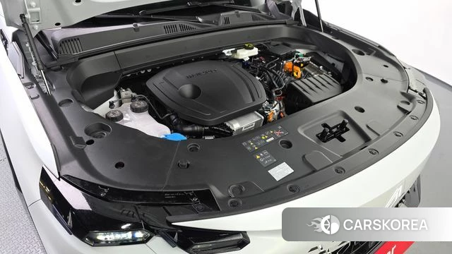 Renault Korea (Samsung) Filant id 4607268 из Кореи 31