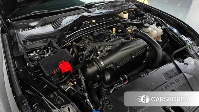 Ford Mustang 7th Generation id 4964558 из Кореи 29