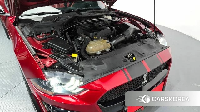 Ford Mustang id 4931071 из Кореи 16