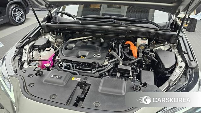 Lexus NX350h Second generation id 5038920 из Кореи 31
