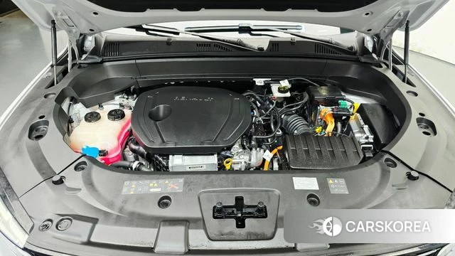 Renault Korea (Samsung) Grand Coleos id 4928293 из Кореи 28
