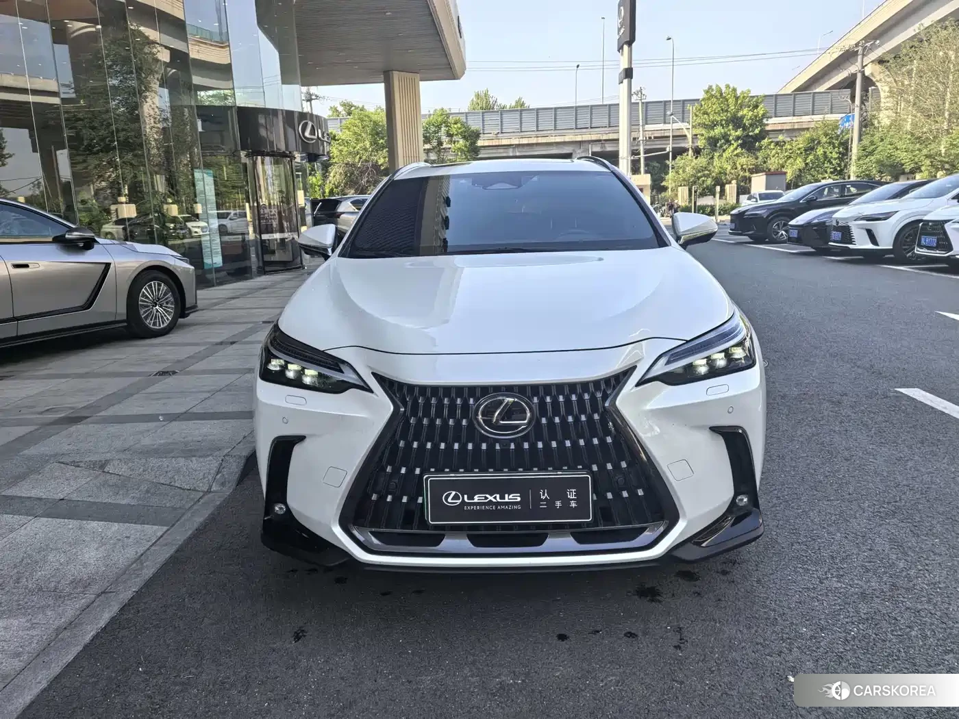 Lexus NX 2023 Белый из Китая, фото 6