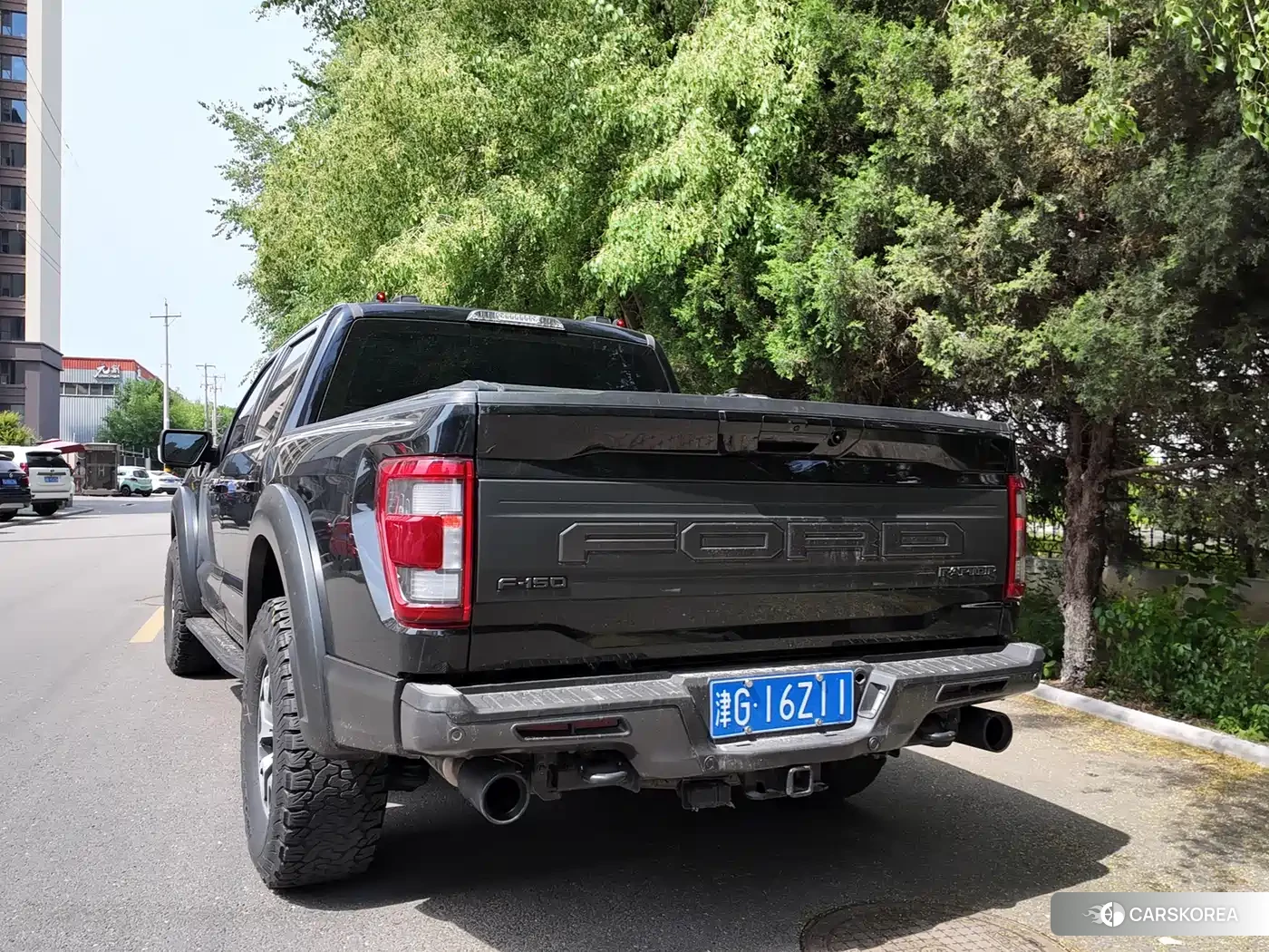 Ford F-150 2024 Черный из Китая, фото 6