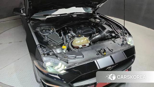 Ford Mustang id 5029183 из Кореи 26