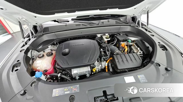 Renault Korea (Samsung) Grand Coleos id 5015901 из Кореи 16
