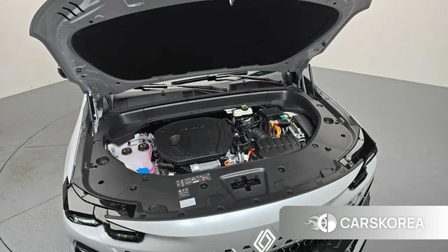Renault Korea (Samsung) Filant id 4853418 из Кореи 27
